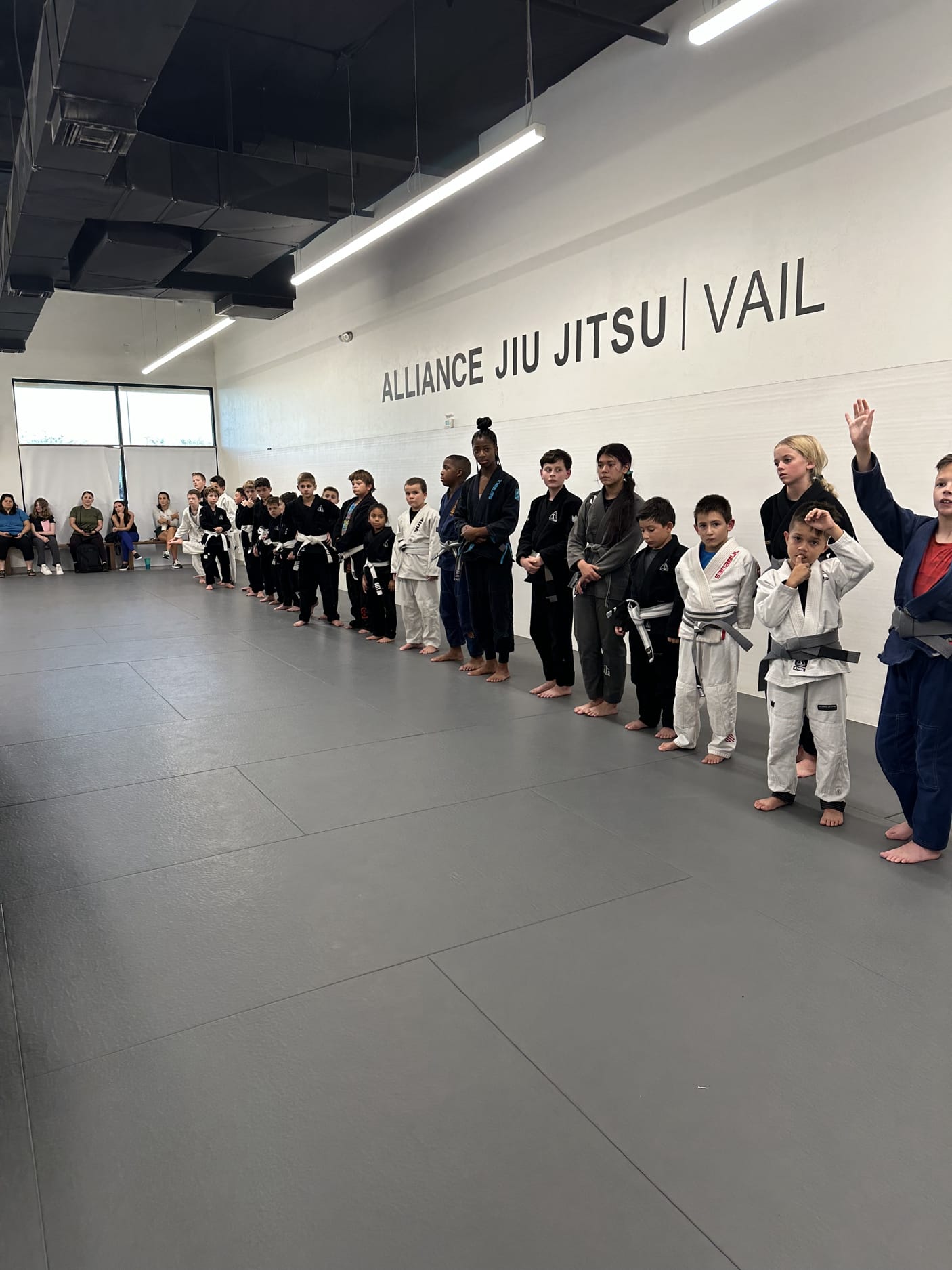 Alliance Jiu Jitsu – Vail Gallery Photo Number 27